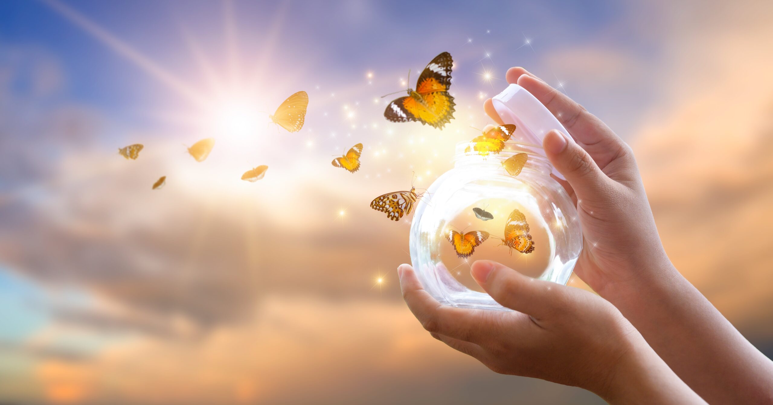 Bulle de papillons